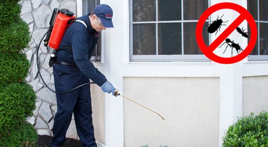Kadirli Kemirgen İlaçlama böcek ilaçlama ve haşere kontrolü — ilaclama-tr.com